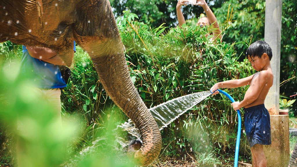 elephant jungle sanctuary phuket