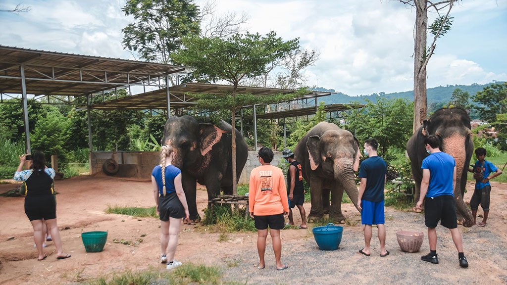 elephant jungle sanctuary phuket