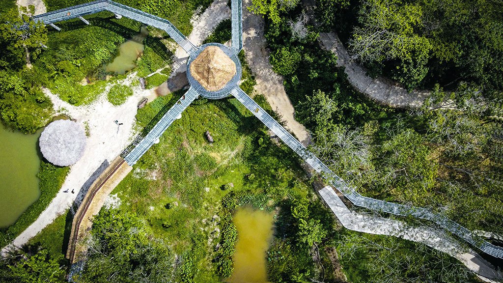 elephant sanctuary, canopy walkway