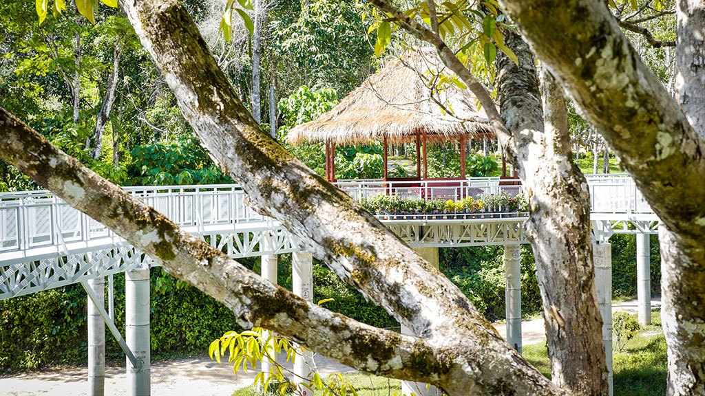 phuket elephant sanctuary, canopy walkway