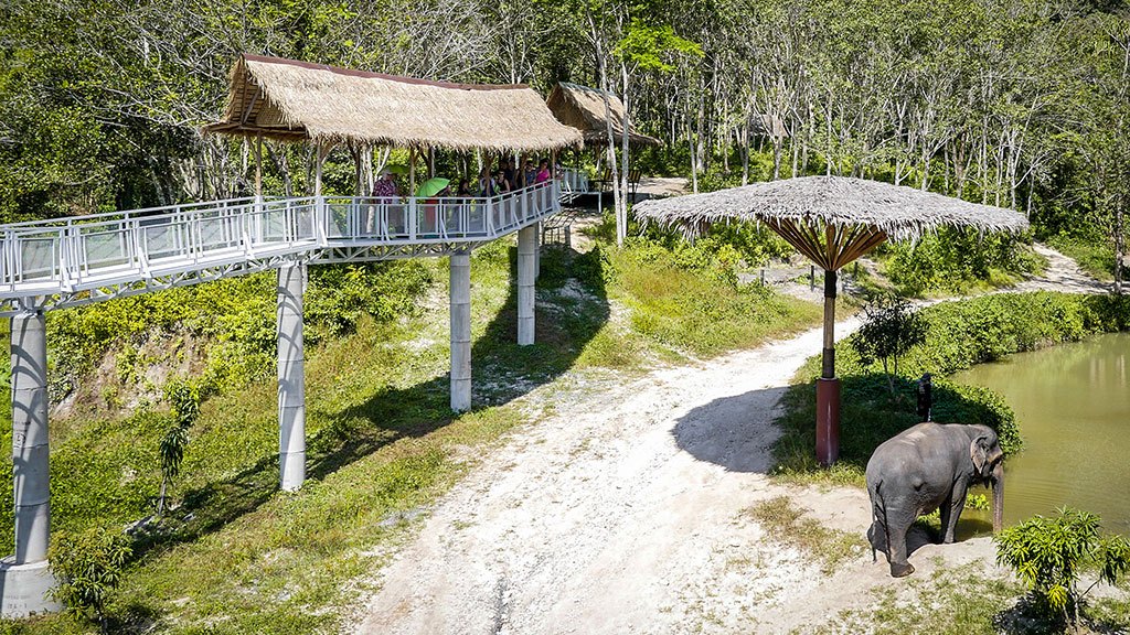 elephant sanctuary, canopy walkway