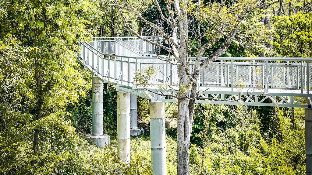 phuket elephant sanctuary, canopy walkway