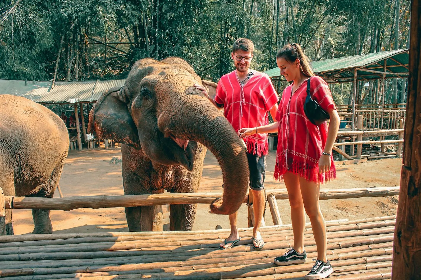 Elephant Nature Park