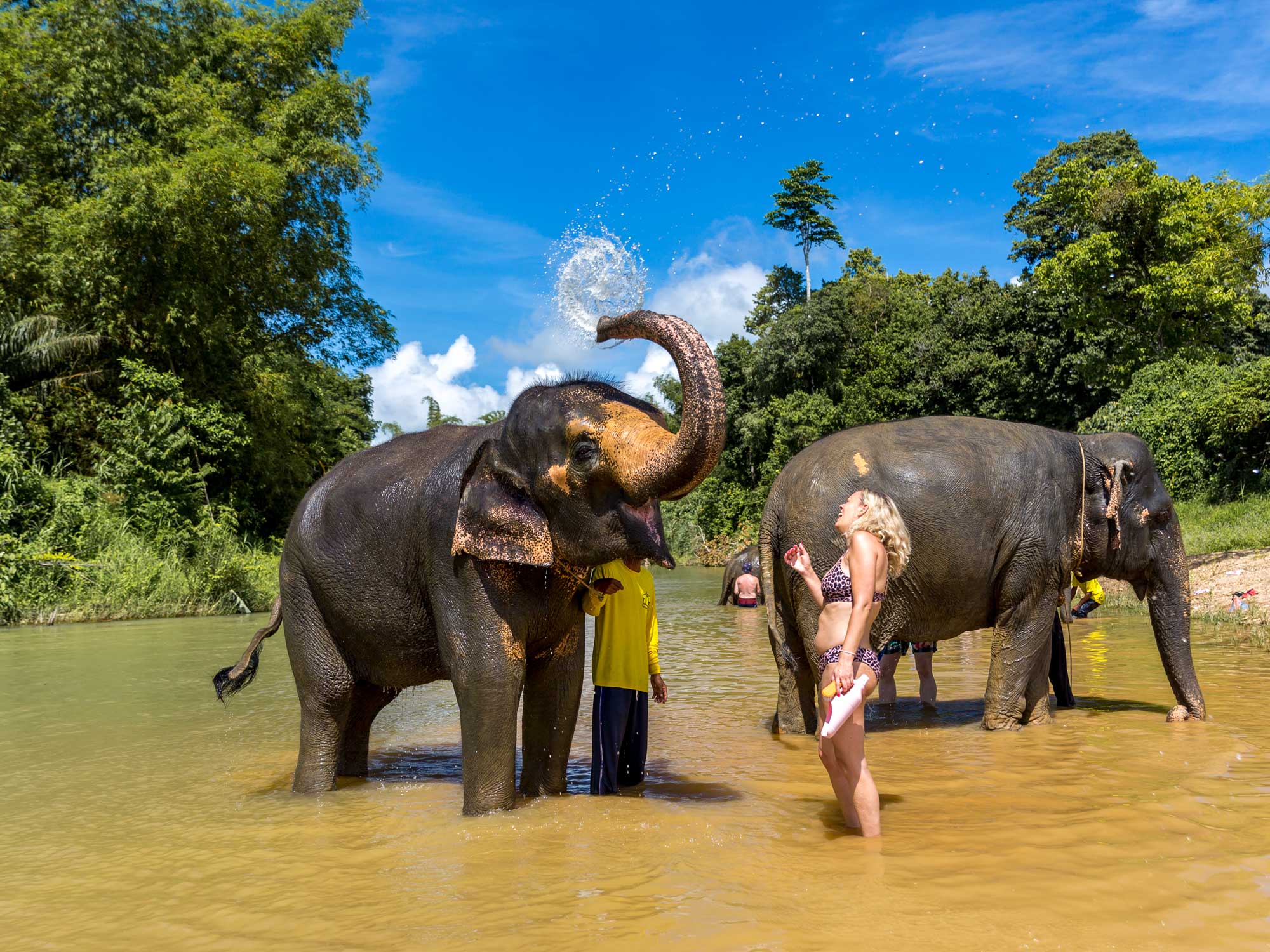 Khao Lak Elephant Sanctuary
