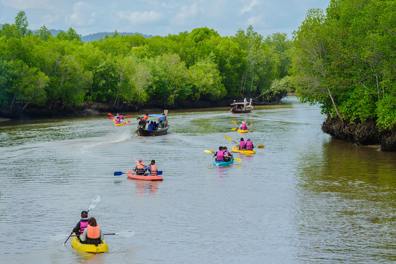 Koh Lanta's Mangrove Forests