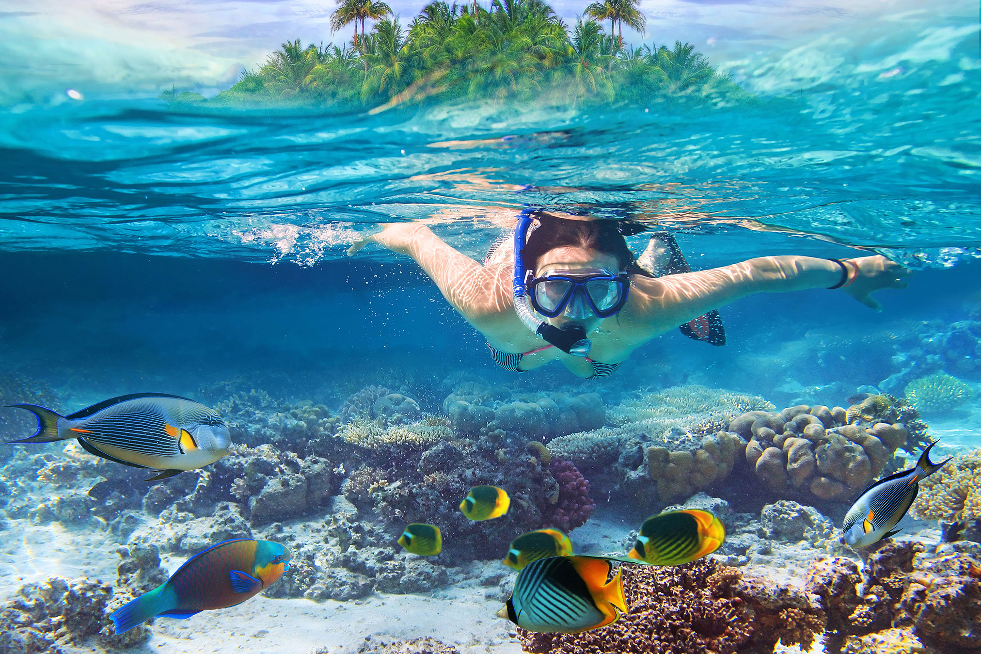 Coral Island(Koh Larn)
