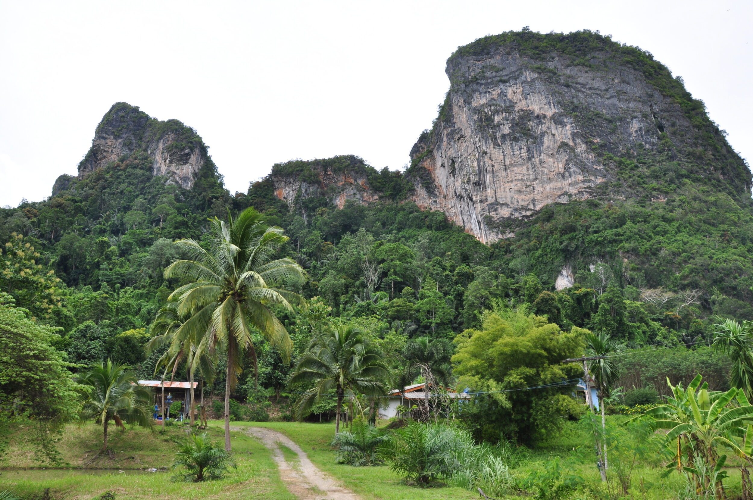 Cheow Lan Lake tour from Khao Lak
