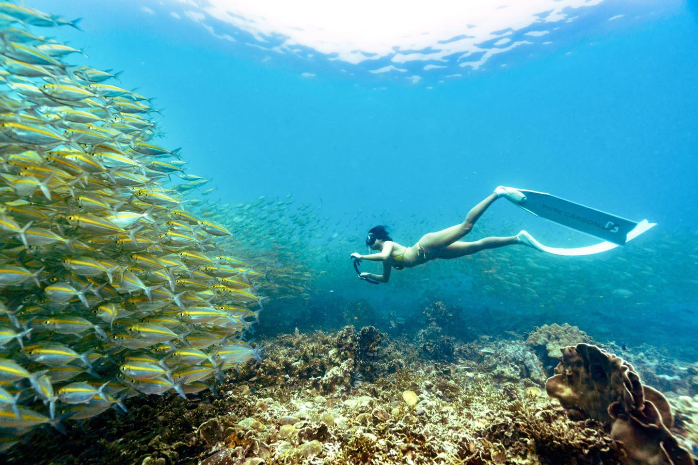 Koh Tao snorkeling wooden boat tour