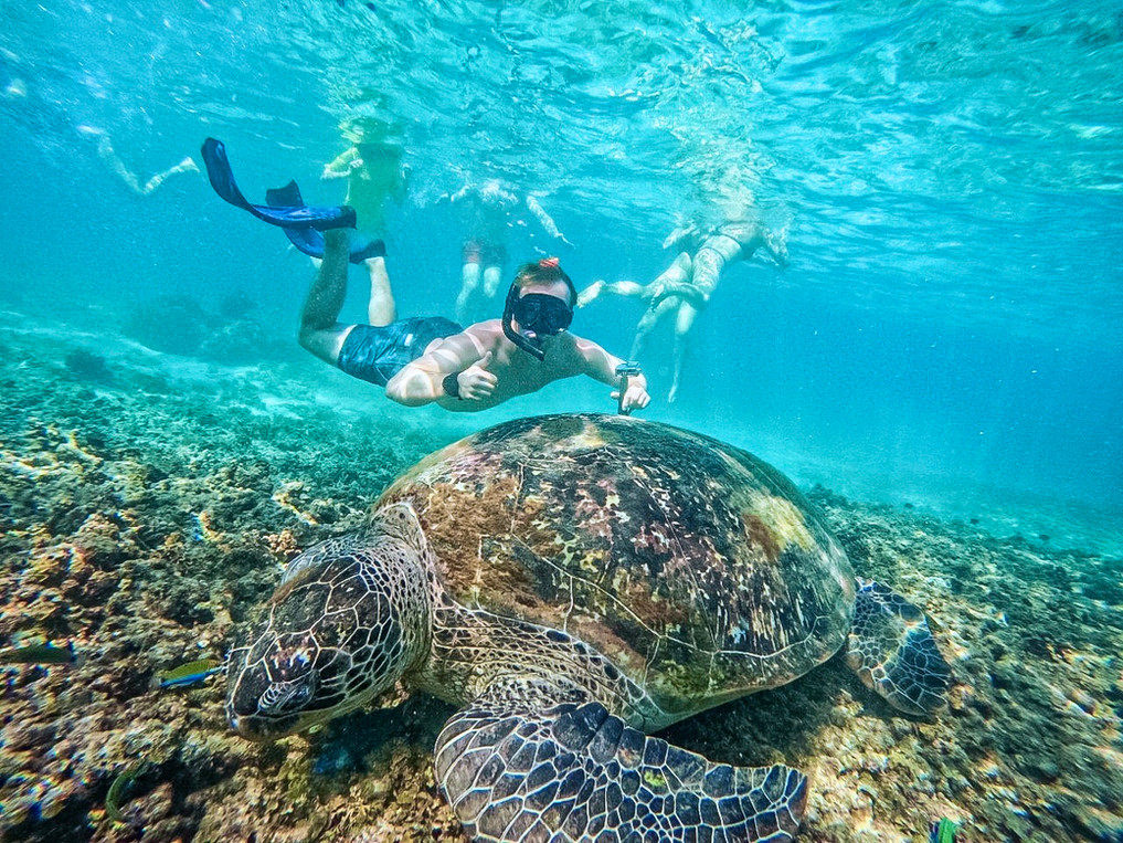 Koh Tao snorkeling wooden boat tour