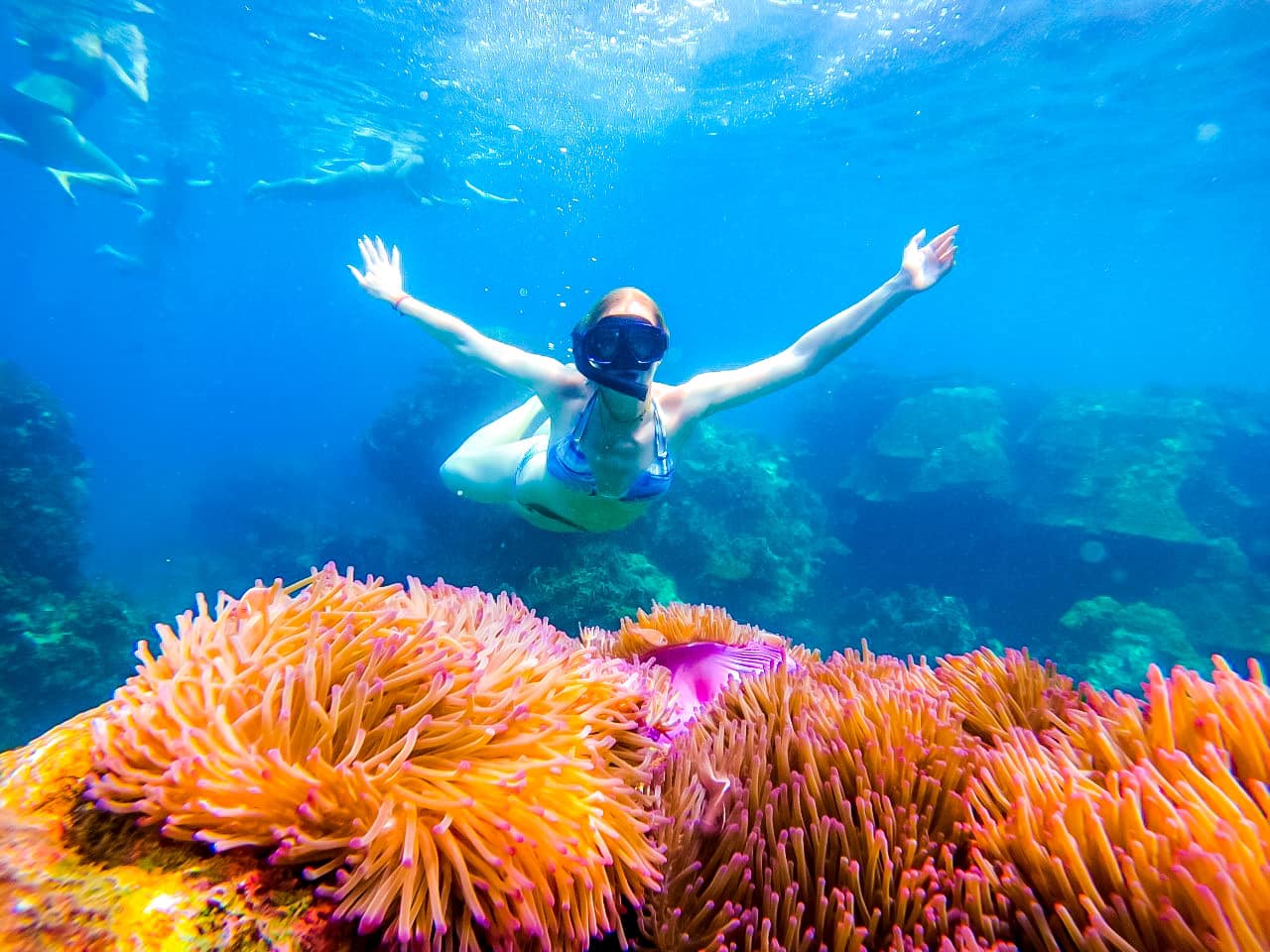 Koh Tao snorkeling wooden boat tour