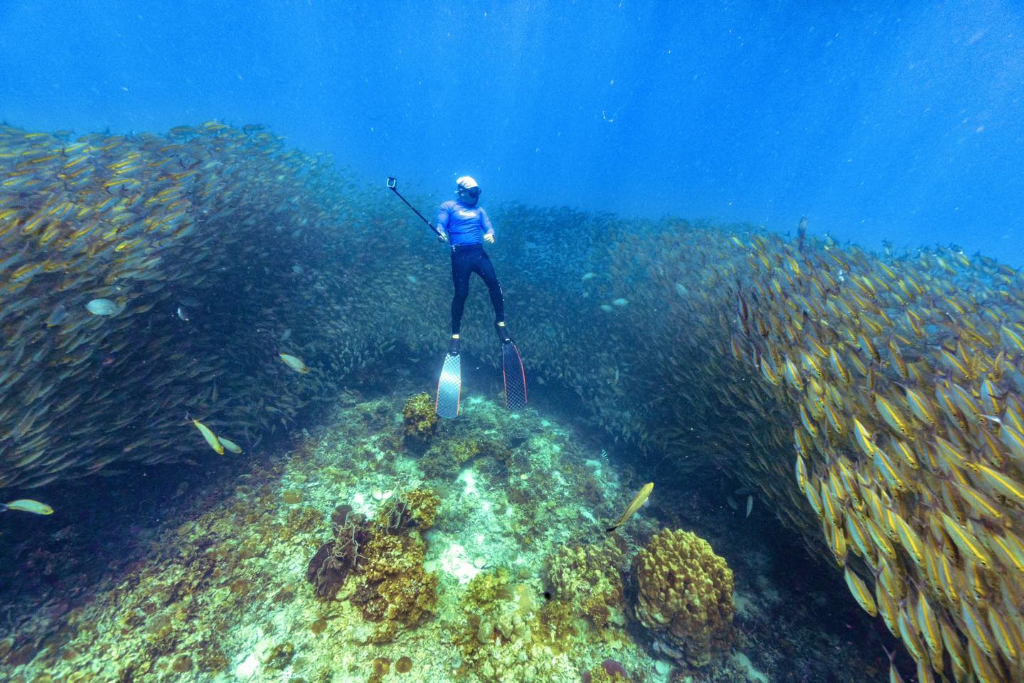 Koh Tao snorkeling wooden boat tour