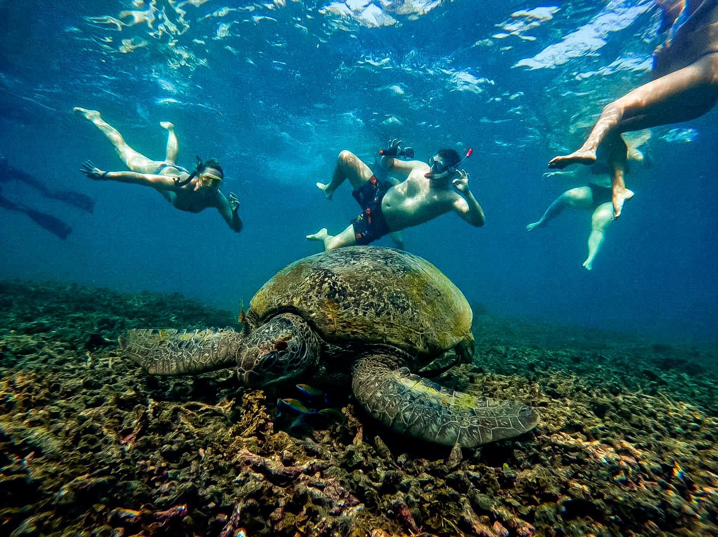 Koh Tao’s Top Snorkeling Spots by Vintage Wooden Boat