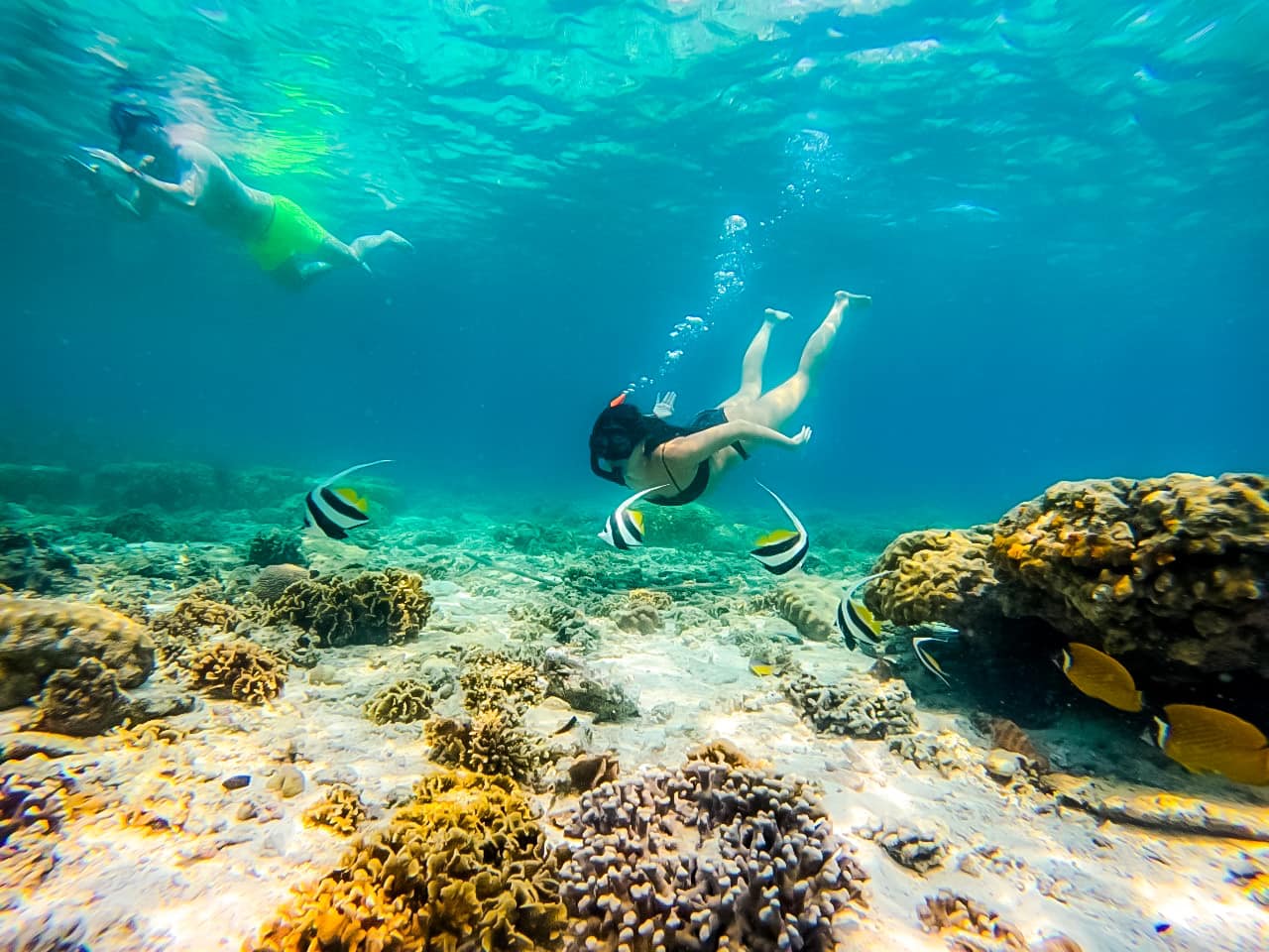 Koh Tao’s Top Snorkeling Spots by Vintage Wooden Boat