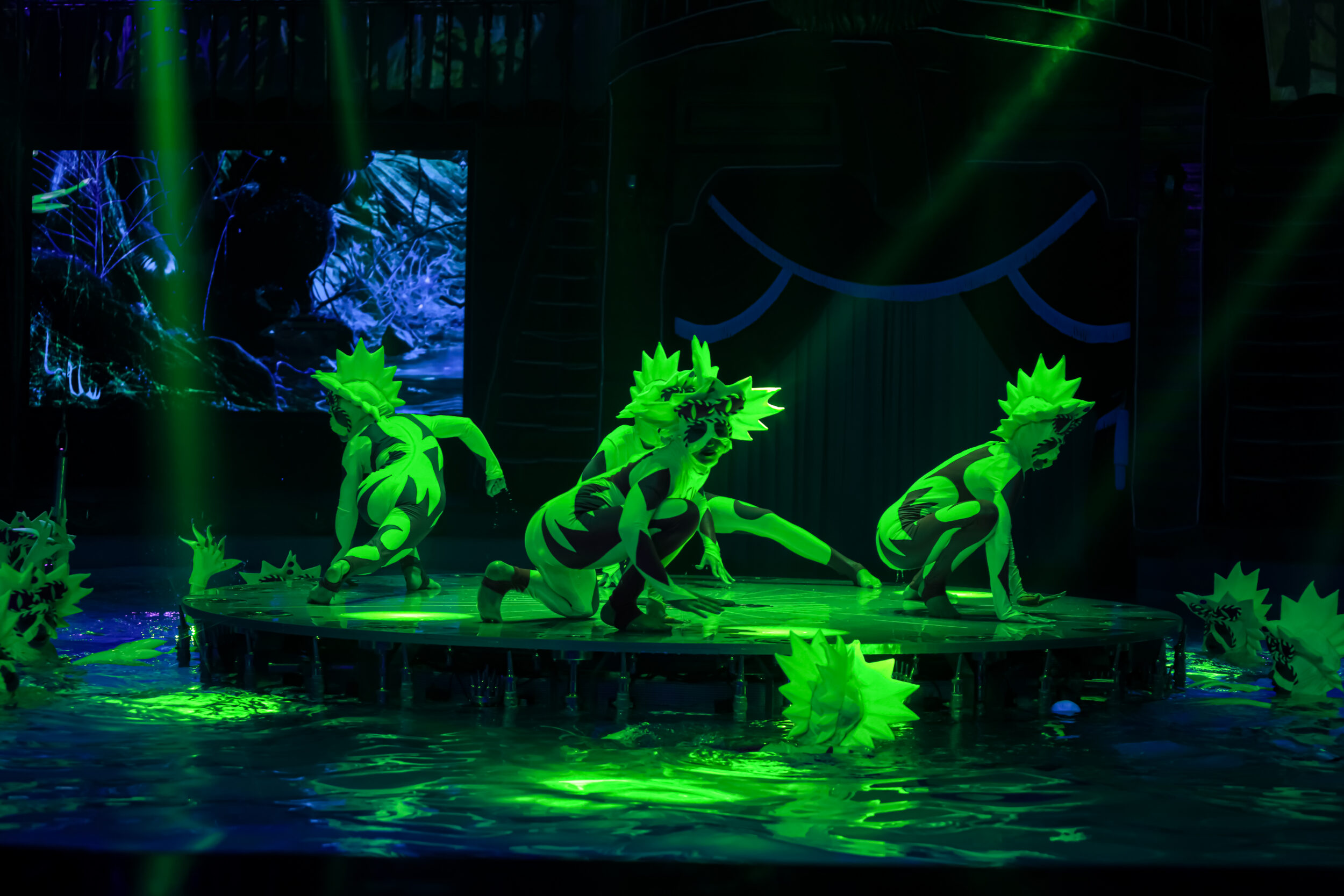 Aqua Circus Phuket ticket