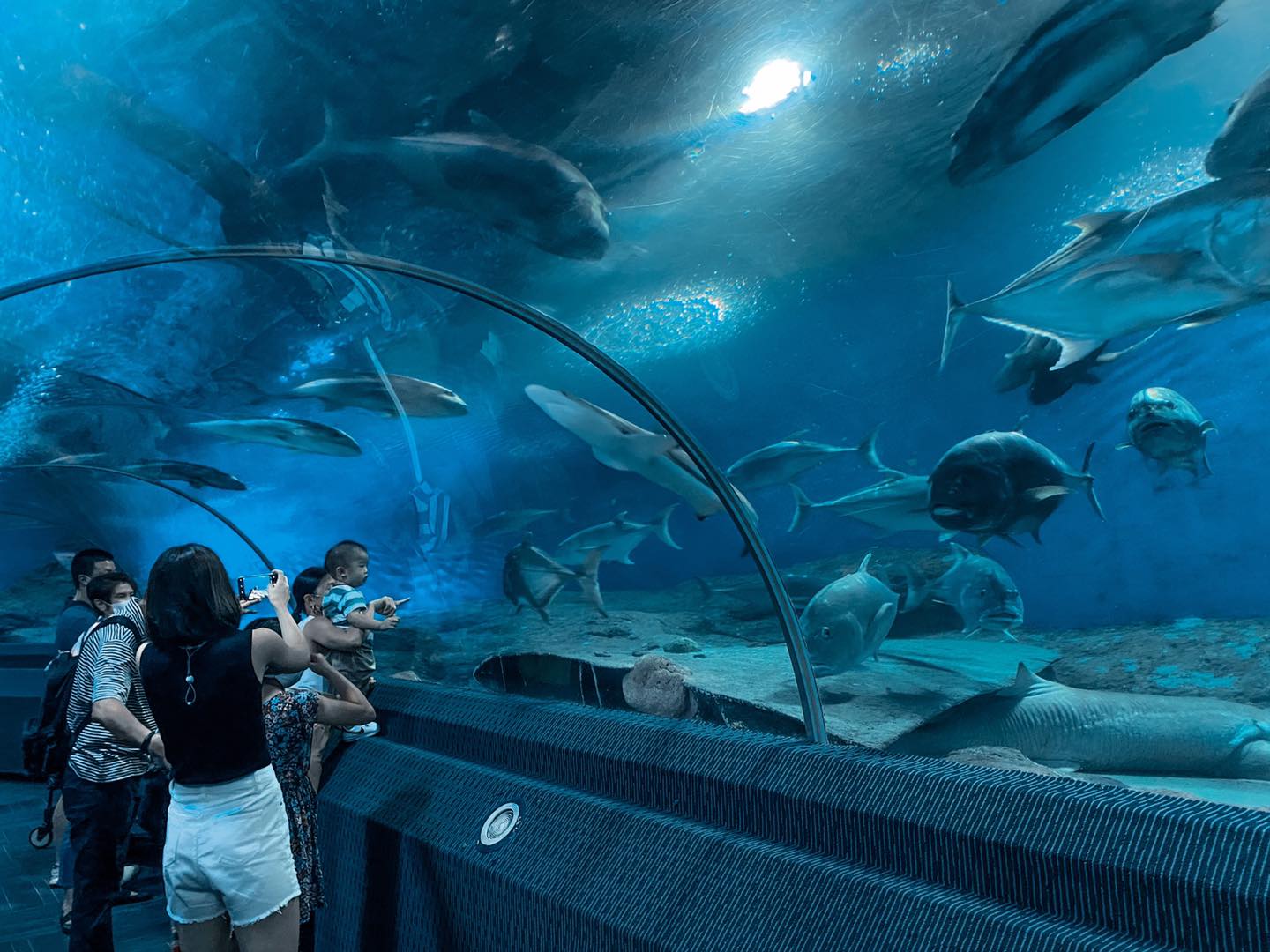 Underwater World Pattaya ticket