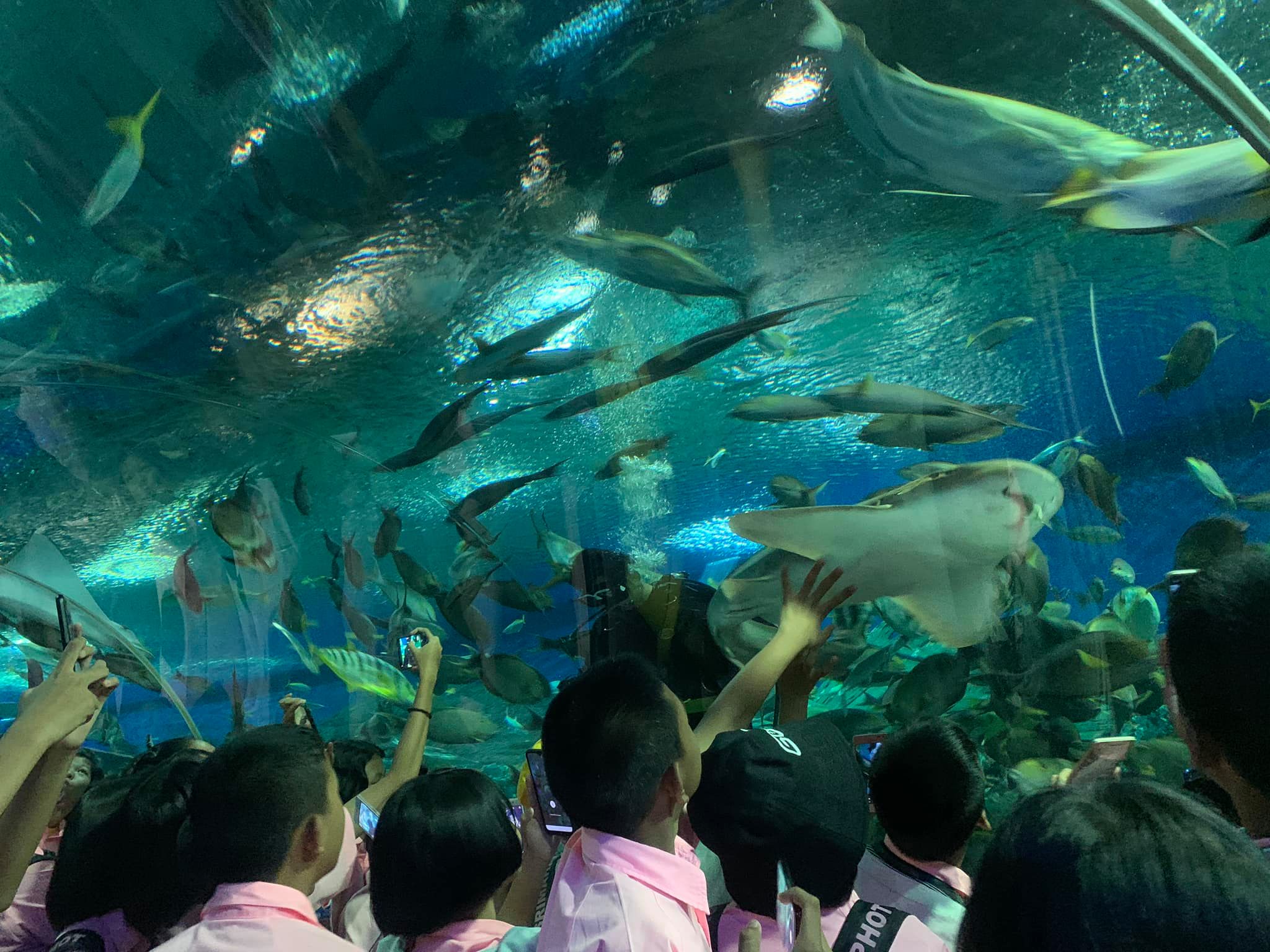 Underwater World Pattaya ticket