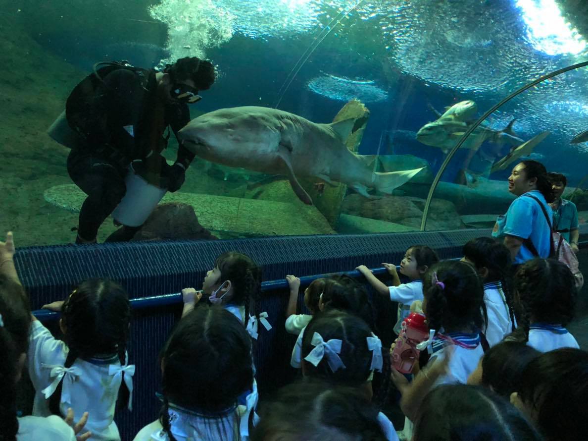 Underwater World Pattaya ticket