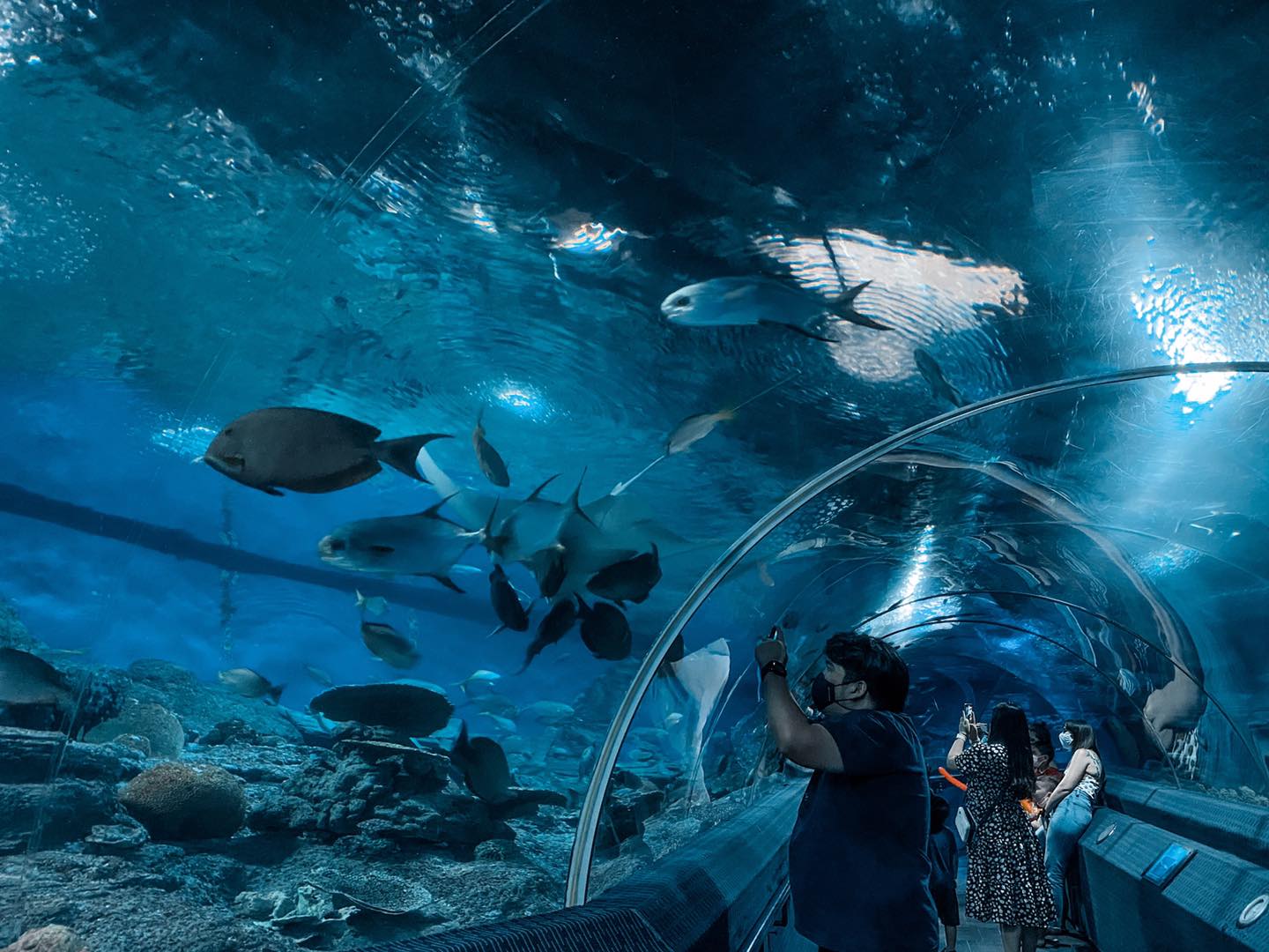 Underwater World Pattaya ticket