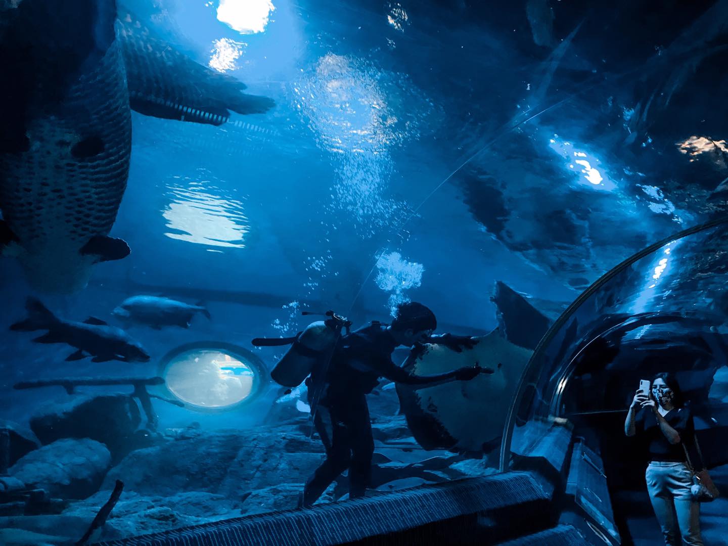 Underwater World Pattaya ticket
