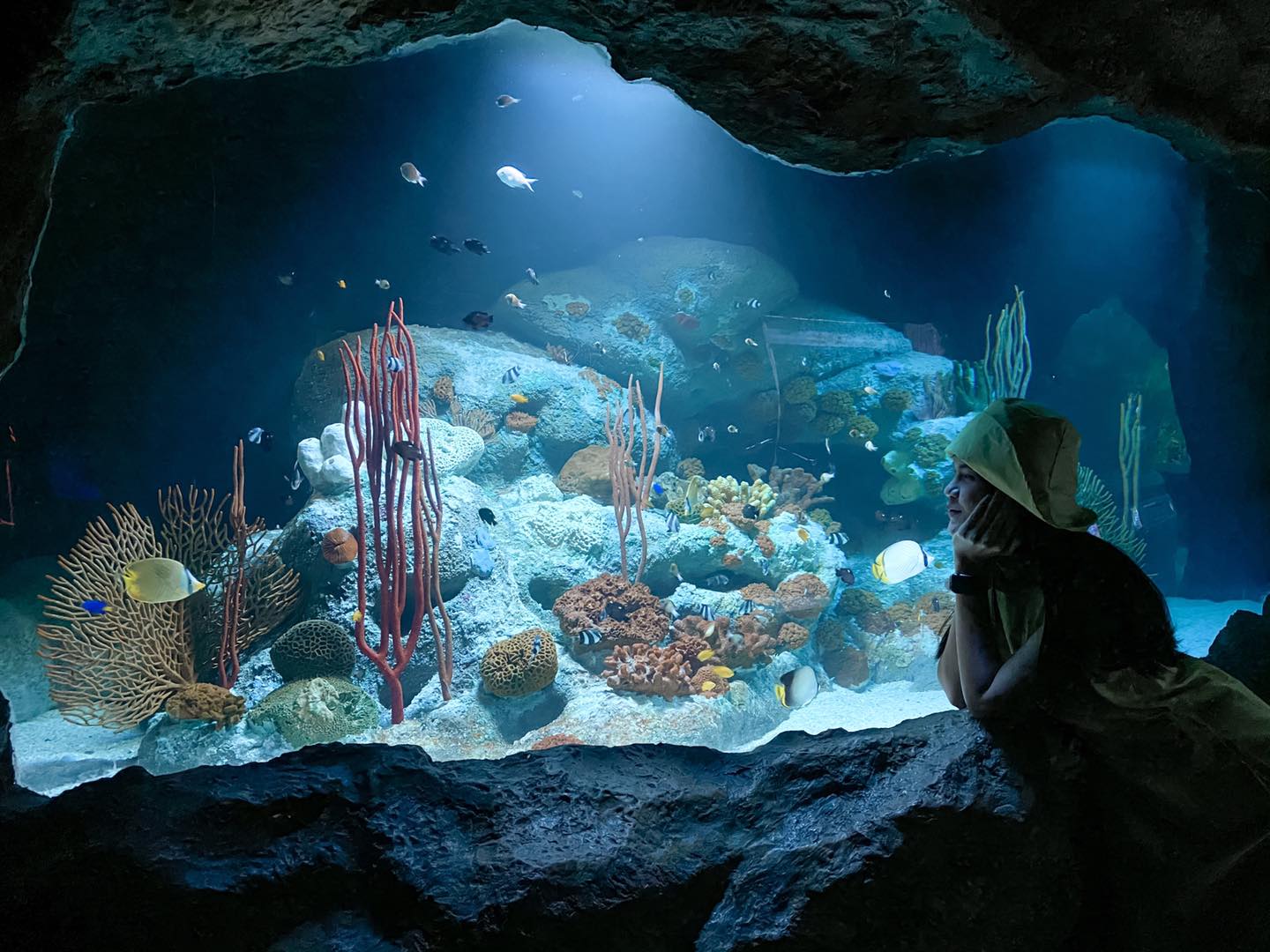 Underwater World Pattaya ticket