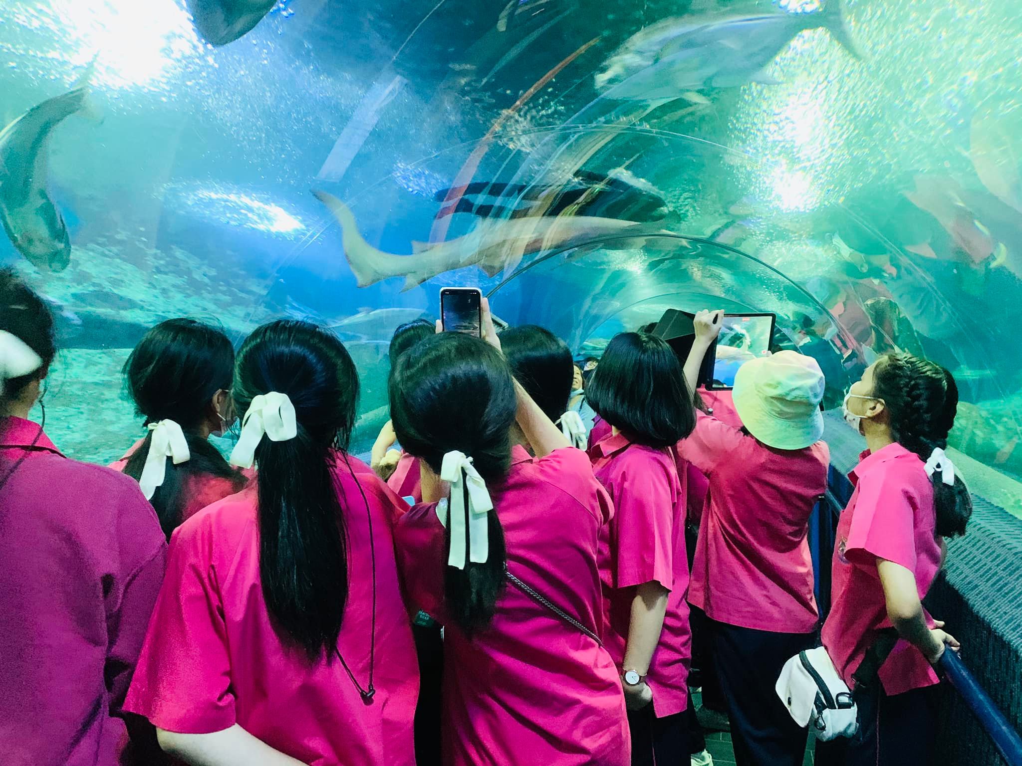Underwater World Pattaya ticket