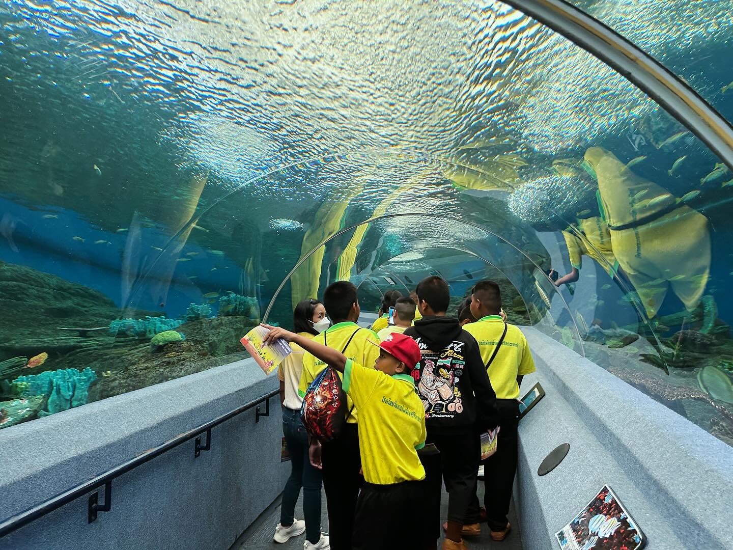 Underwater World Pattaya ticket