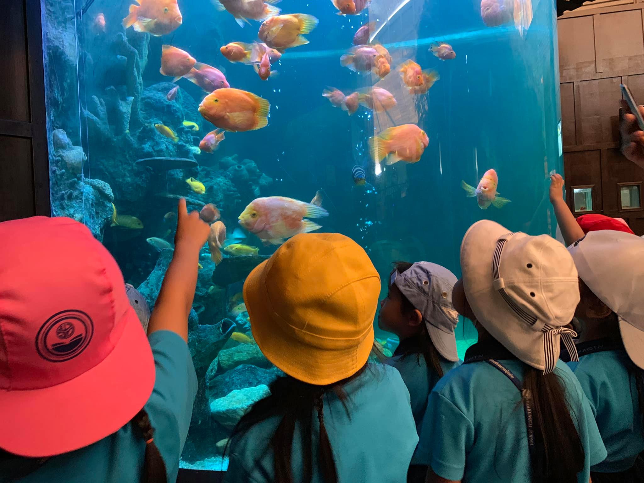 Underwater World Pattaya ticket