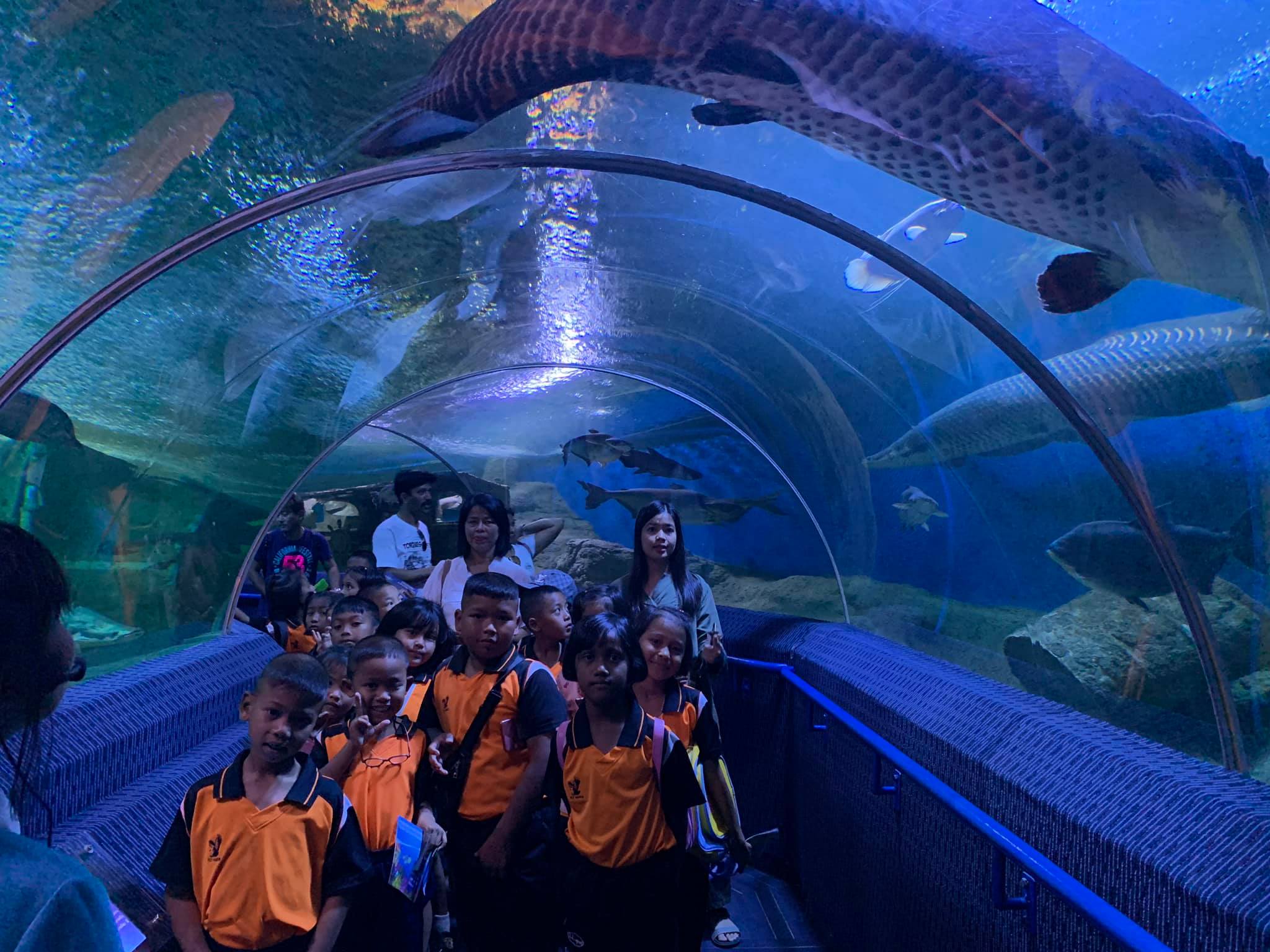 Underwater World Pattaya ticket