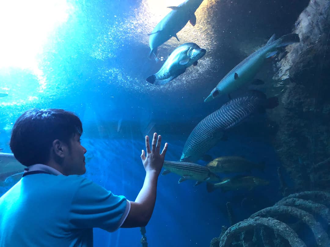 Underwater-World-Pattaya-Aquarium-Journey-Ticket