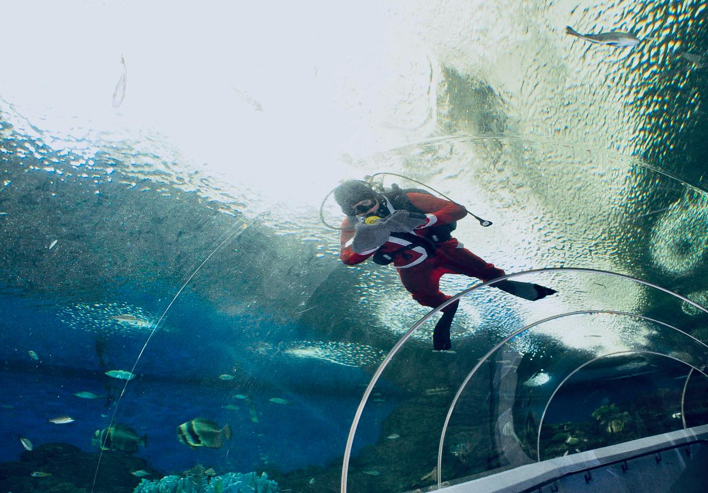 Underwater-World-Pattaya-Aquarium-Journey-Ticket