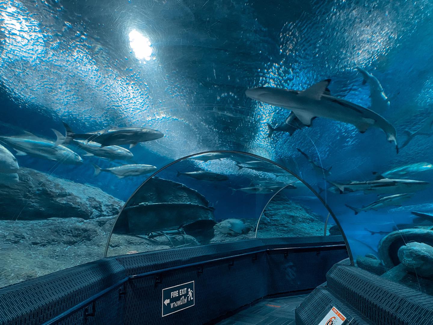 Underwater-World-Pattaya-Aquarium-Journey-Ticket