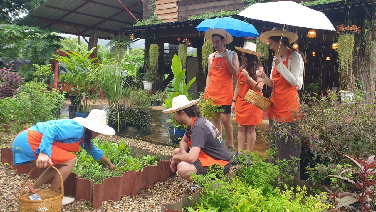Chiang Mai Thai cooking class