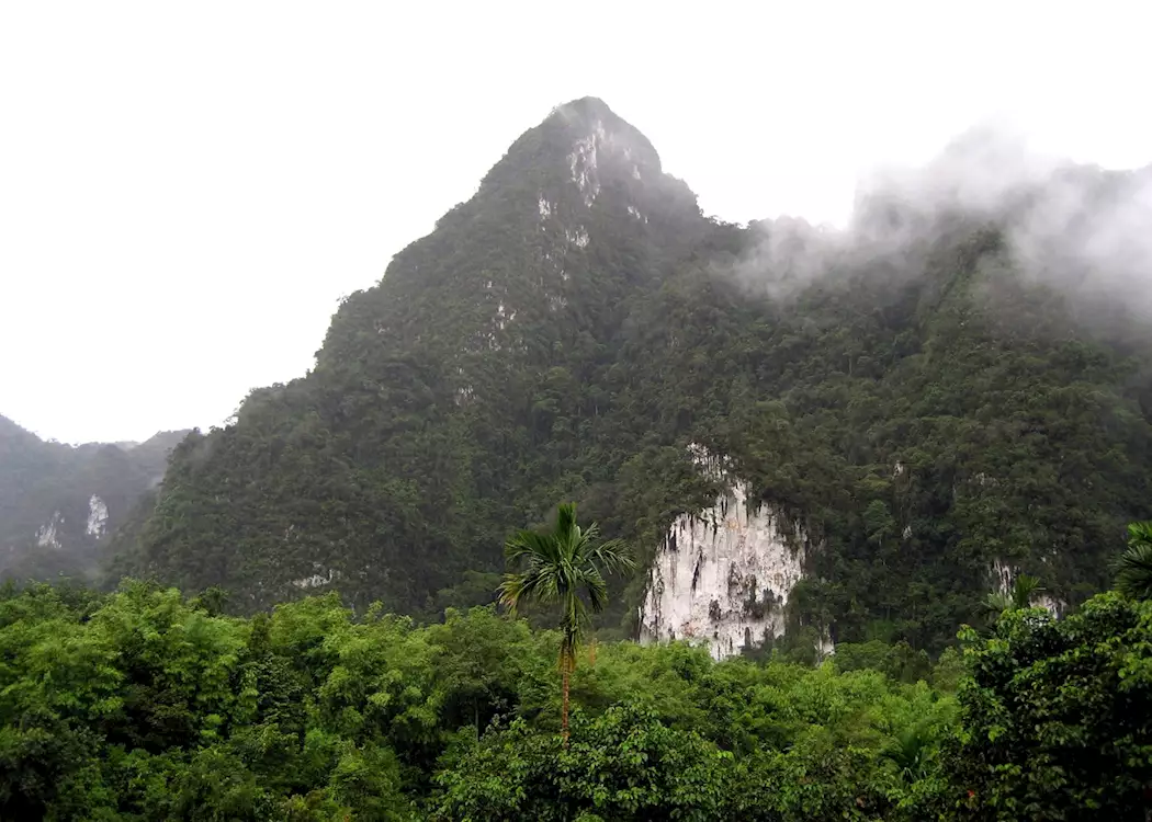 Khao Sok bamboo rafting tour from Khao Lak