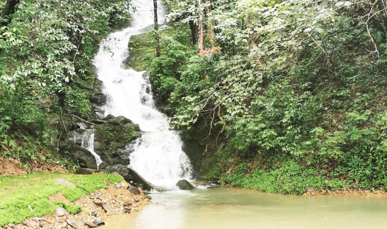 Khao Sok bamboo rafting tour from Khao Lak