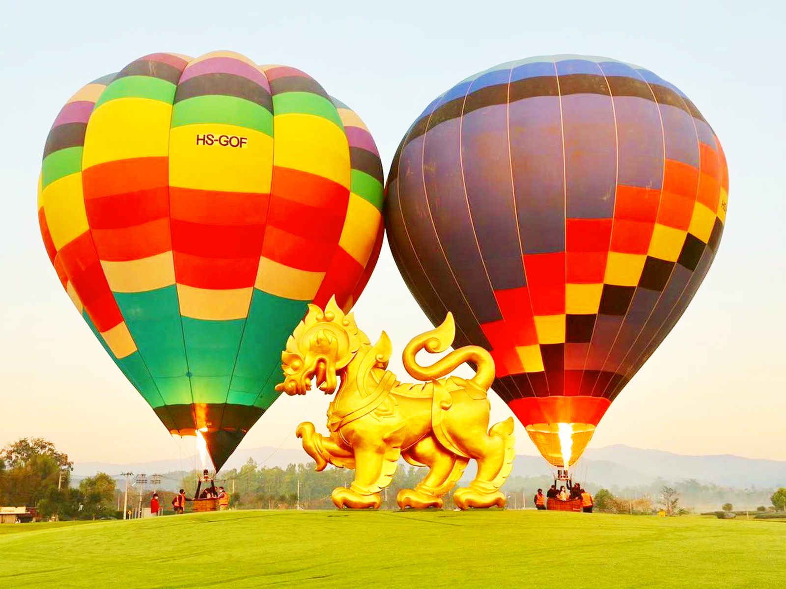Singha Park Soar Above Tea Plantations And Lakes