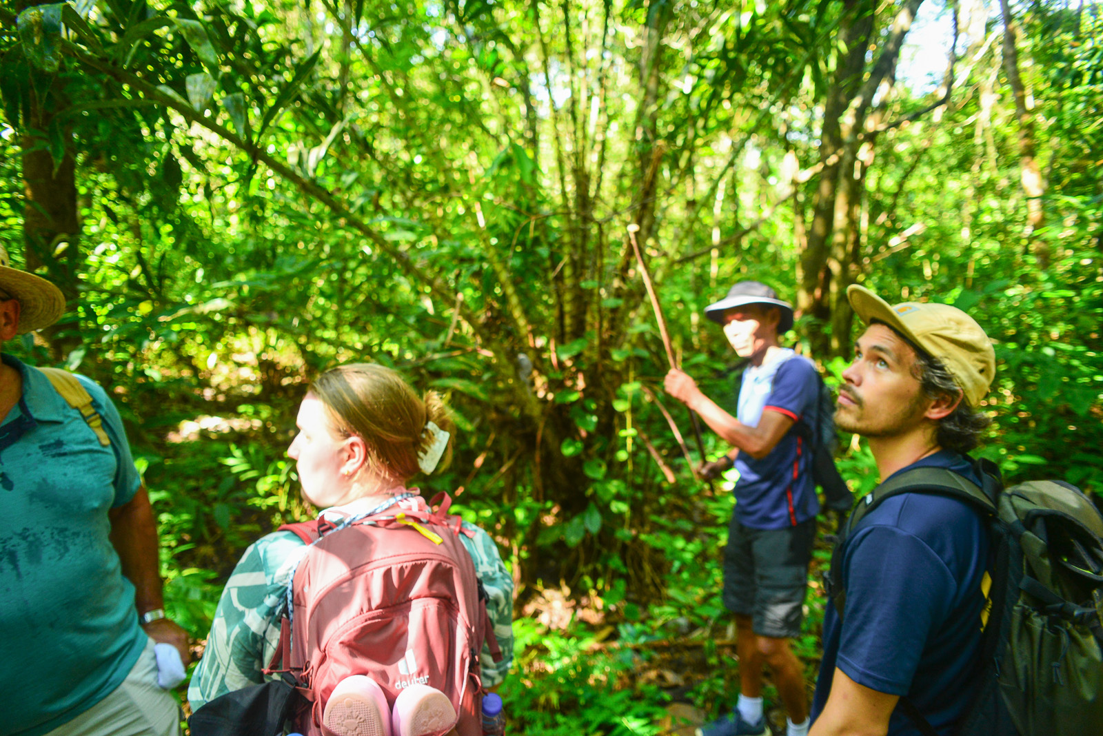 Jungle Trekking – Guided Walk