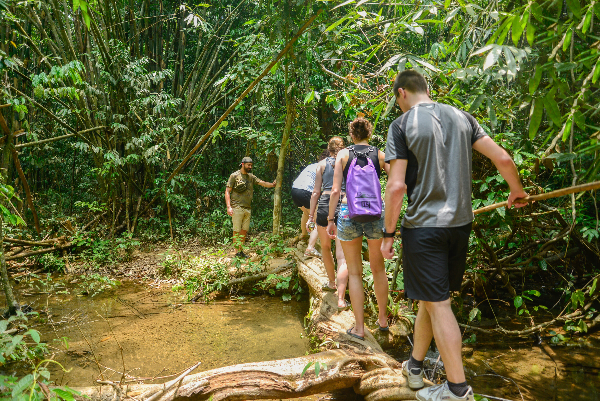 Jungle Stream Crossing – Guided Hike