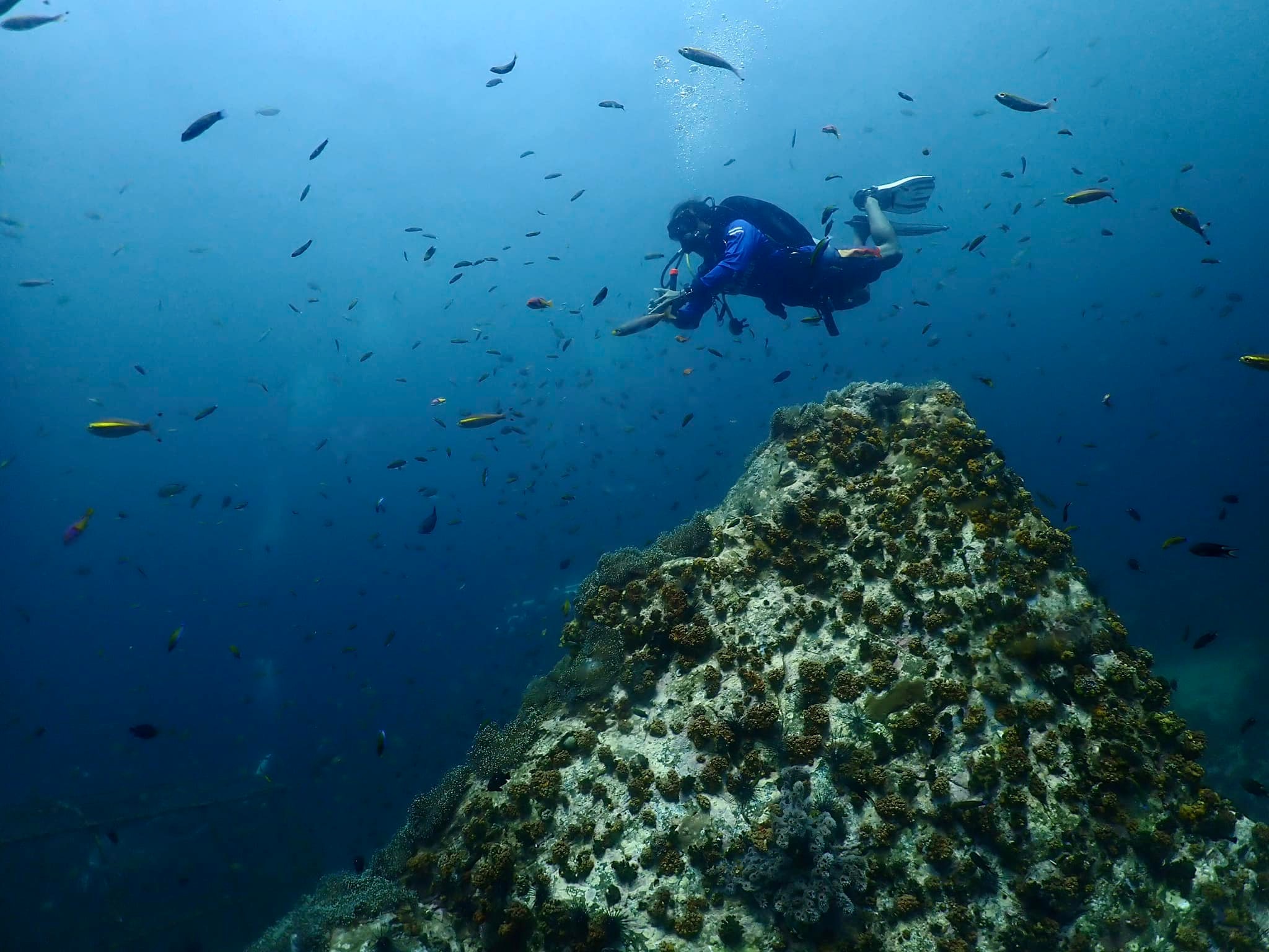 Koh Lipe Beginner Scuba Diving Half Day Tour