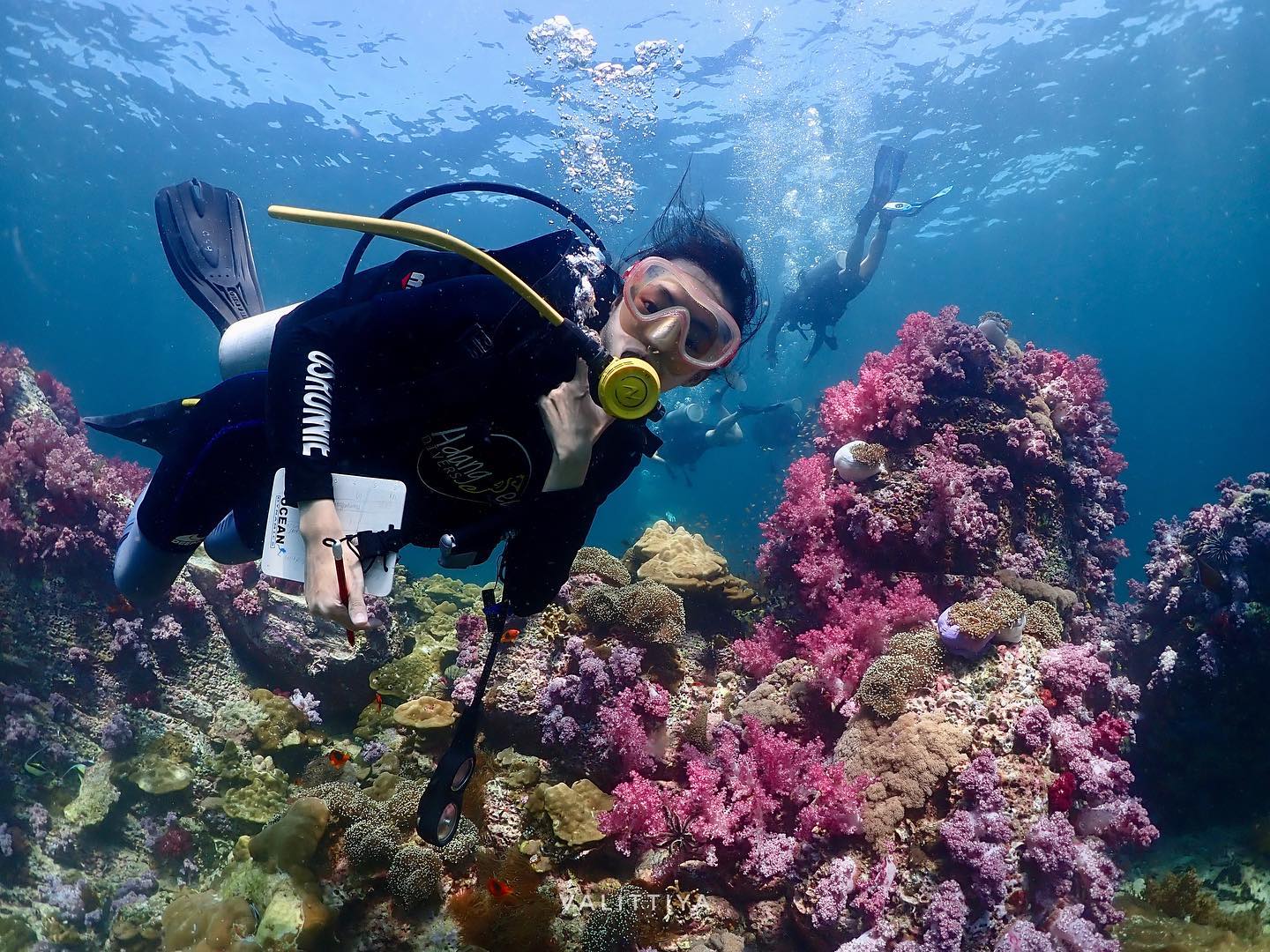 Koh Lipe Beginner Scuba Diving Half Day Tour