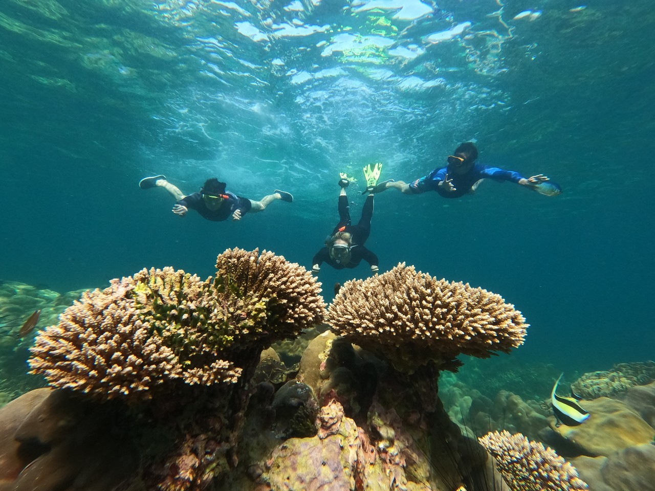 Koh Lipe 5 Islands Snorkeling Trip