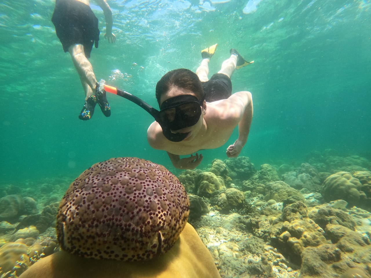 Koh Lipe 5 Islands Snorkeling Trip