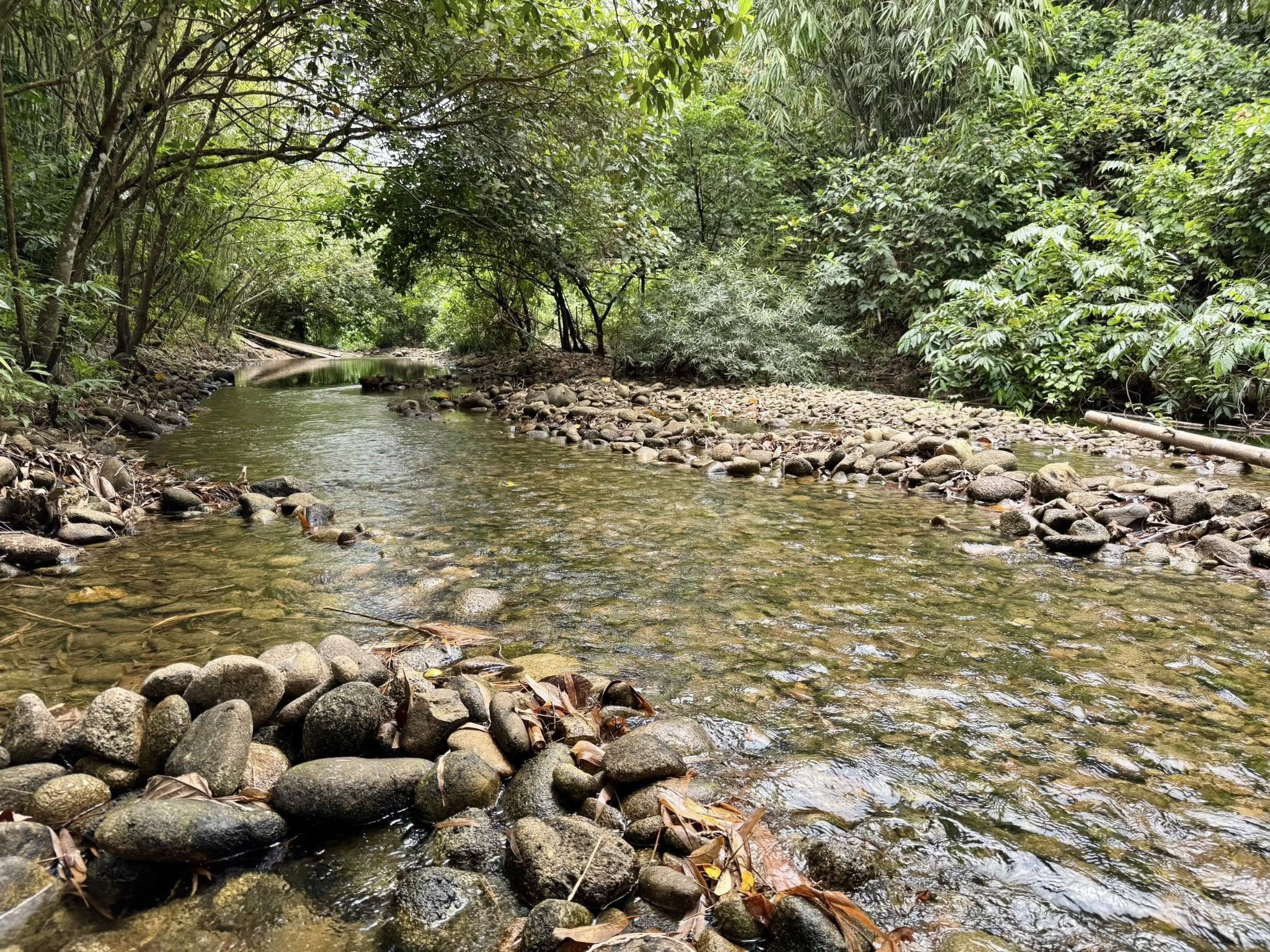 Tropical bamboo rafting Khao Lak