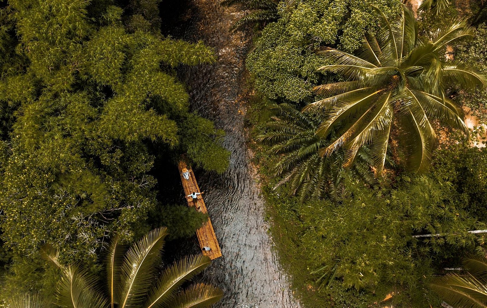 Tropical bamboo rafting Khao Lak