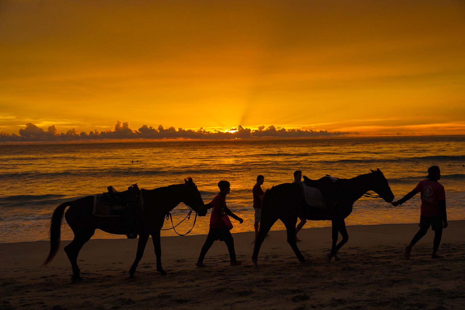 Phuket Kamala Beach Sunset Horse Riding