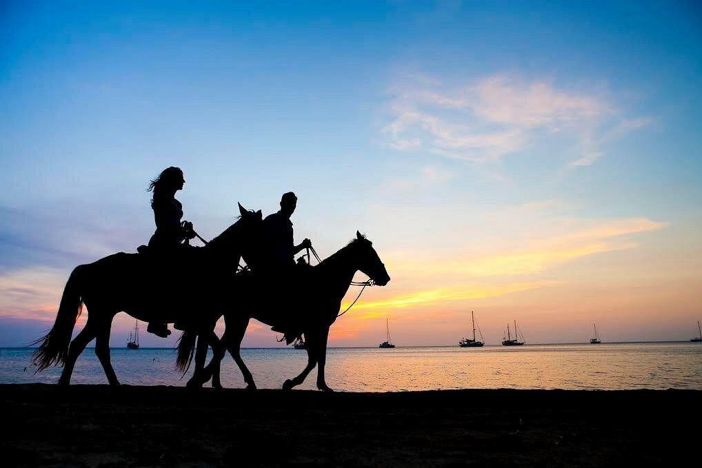 Phuket Kamala Beach Sunset Horse Riding