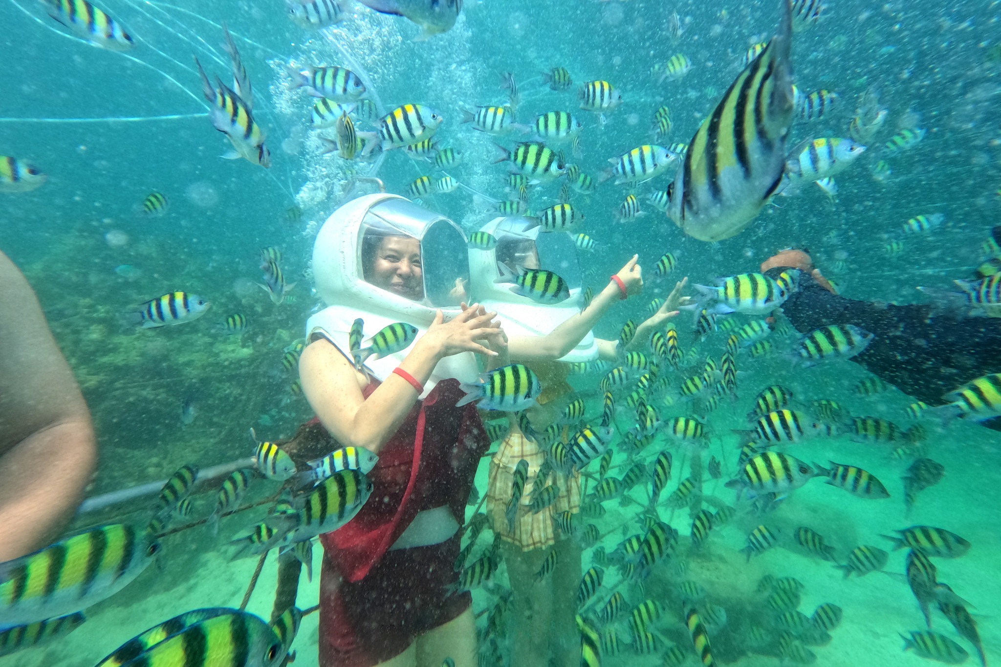 Coral Island snorkeling half day tour from Phuket