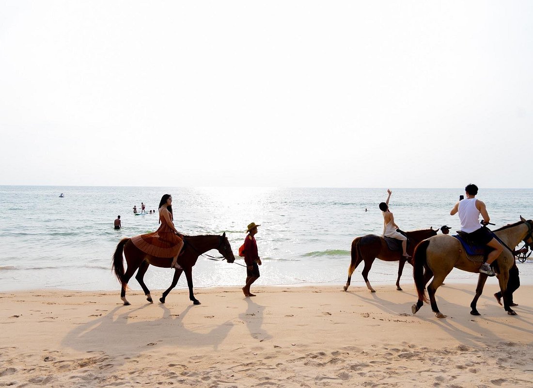 Horse Riding Kamala Beach Phuket
