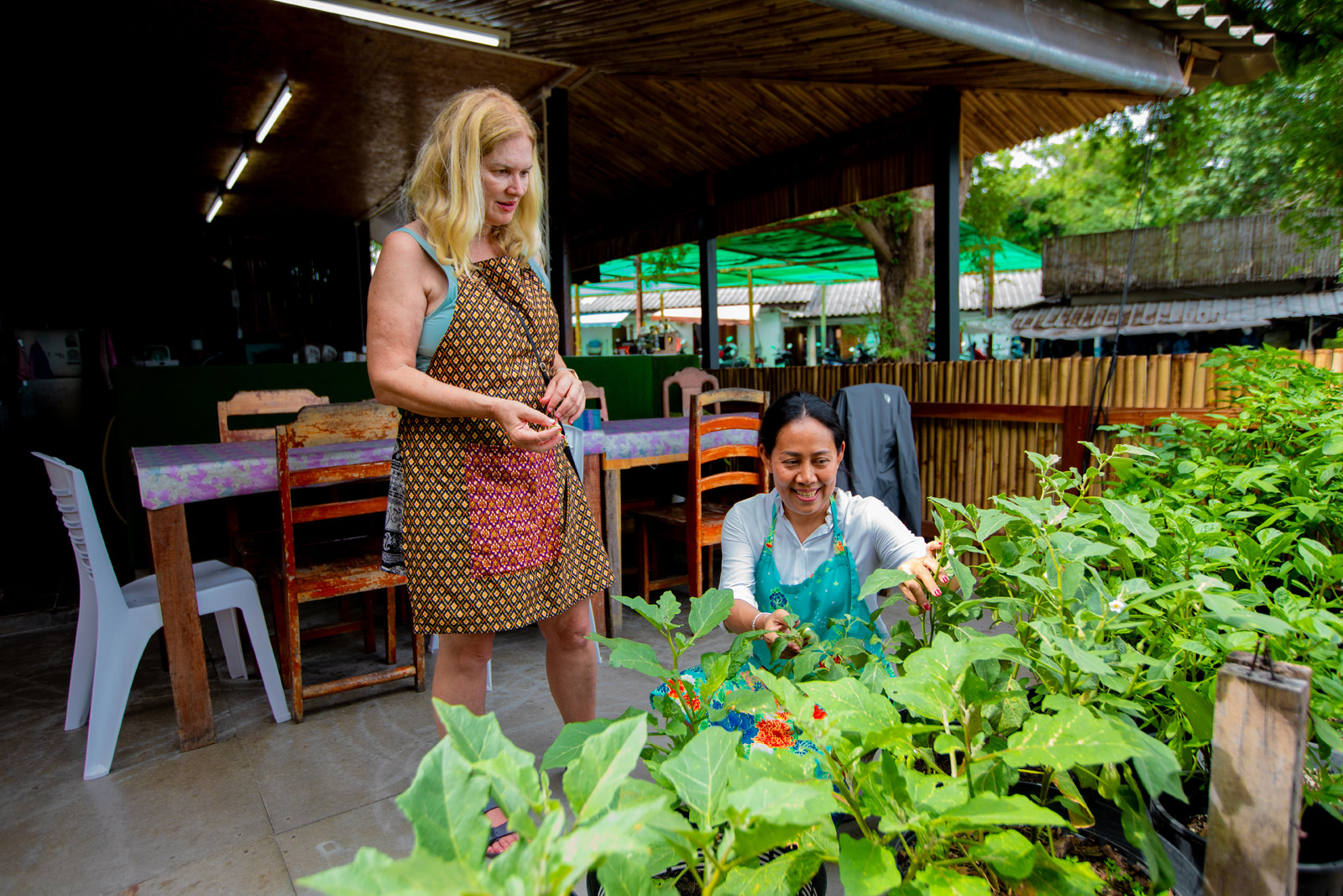 Thai cooking class with ocean view Koh Samui