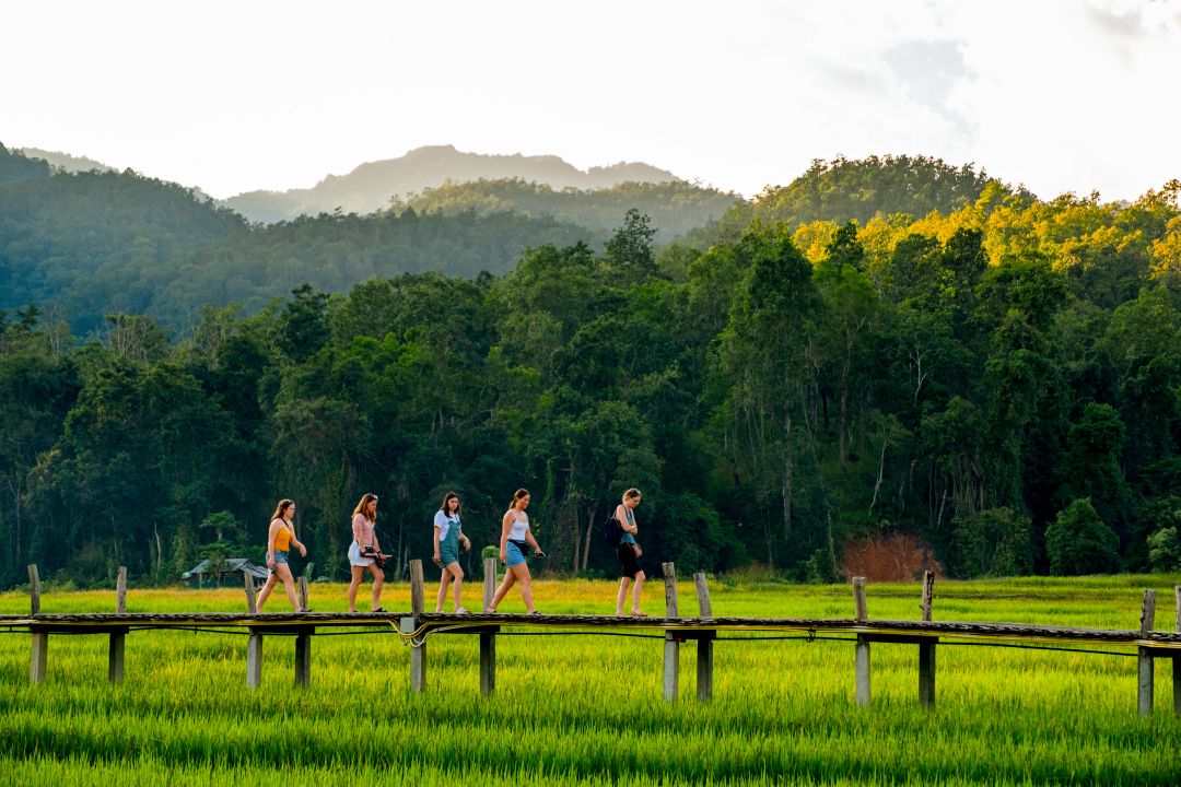 Kokukho Bamboo Bridge Walk.