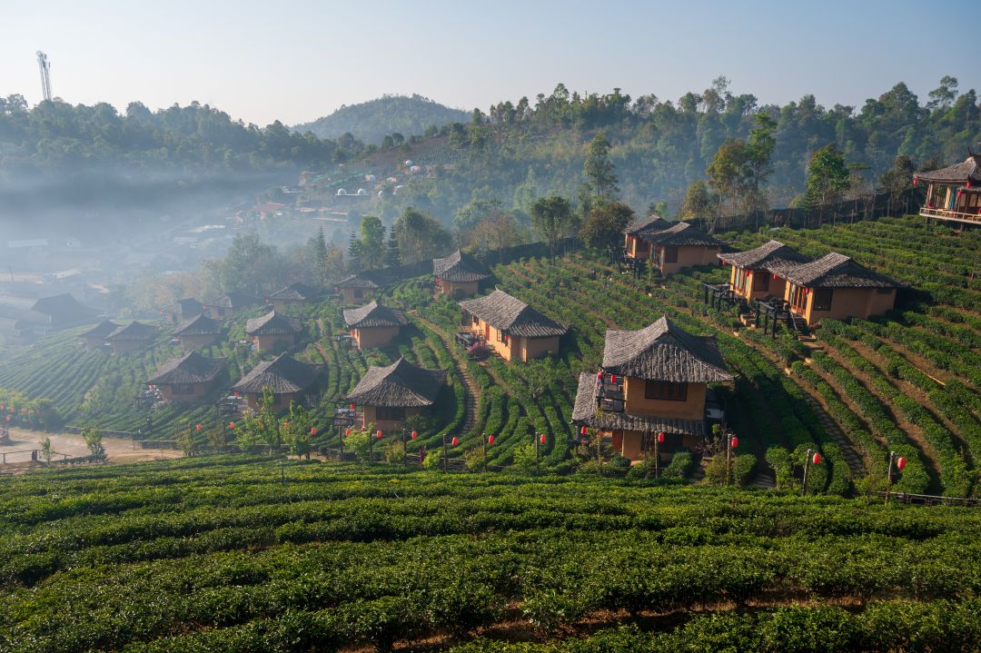 Ban Rak Thai-Stay among green hills.